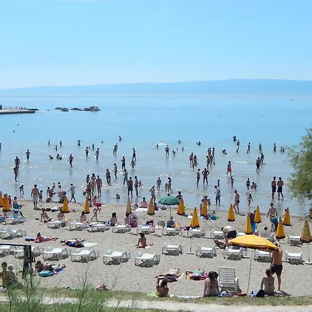 돌체